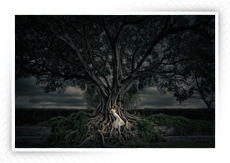 Learn about Wedding Photography from Photographer Anthony Vazquez